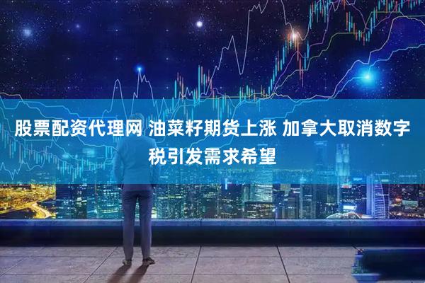 股票配资代理网 油菜籽期货上涨 加拿大取消数字税引发需求希望