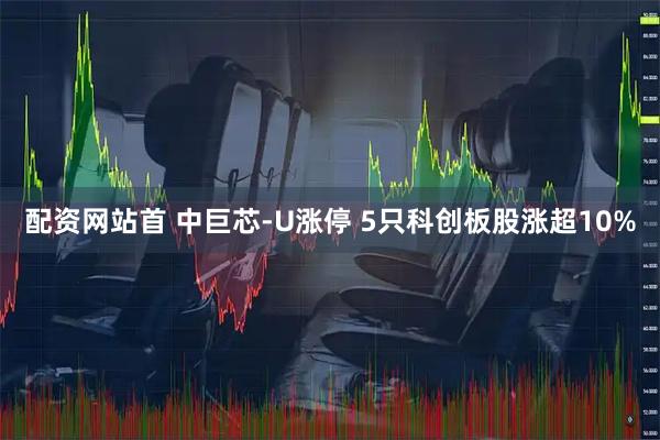 配资网站首 中巨芯-U涨停 5只科创板股涨超10%
