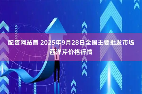 配资网站首 2025年9月28日全国主要批发市场西洋芹价格行情